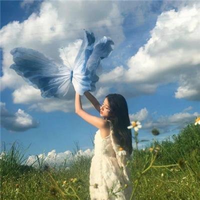 极岛森林第二季